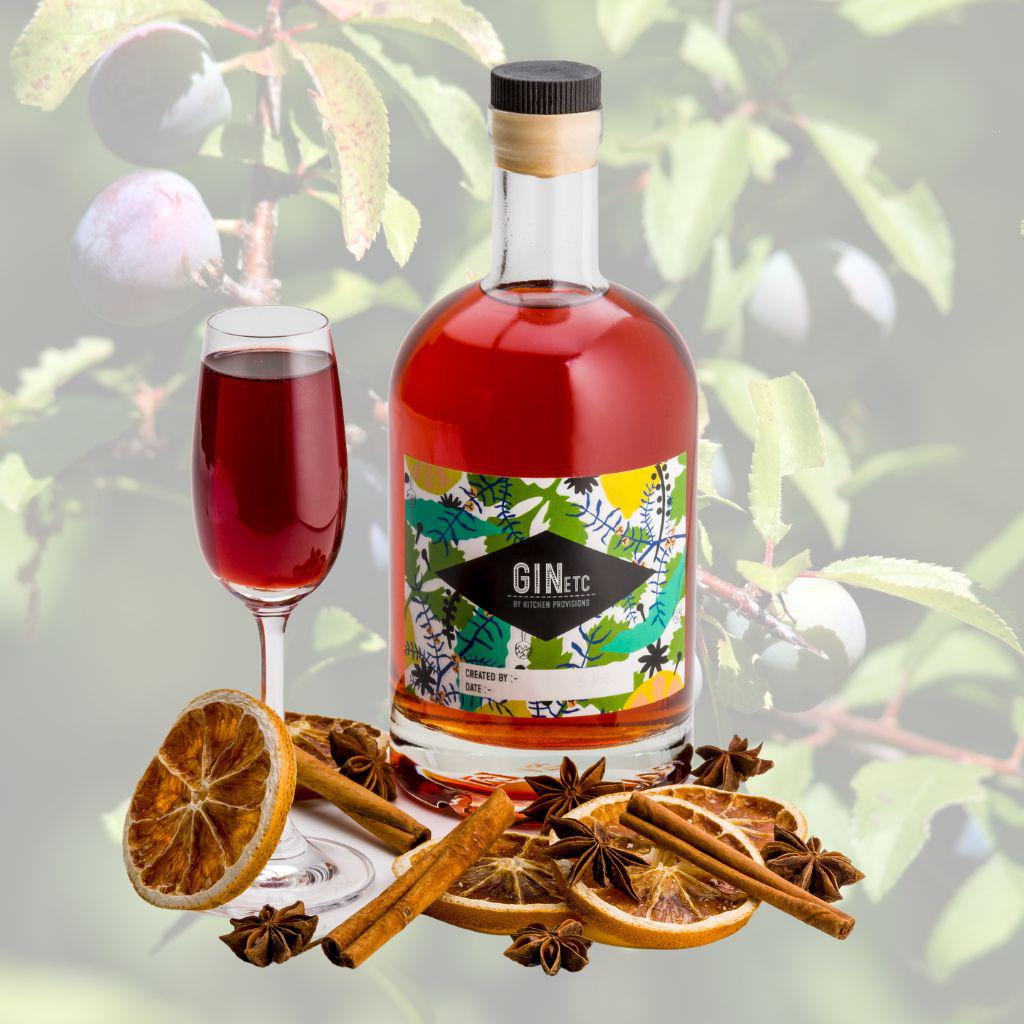 Sloe Gin Makers Kit finished bottled product and glass of gin
