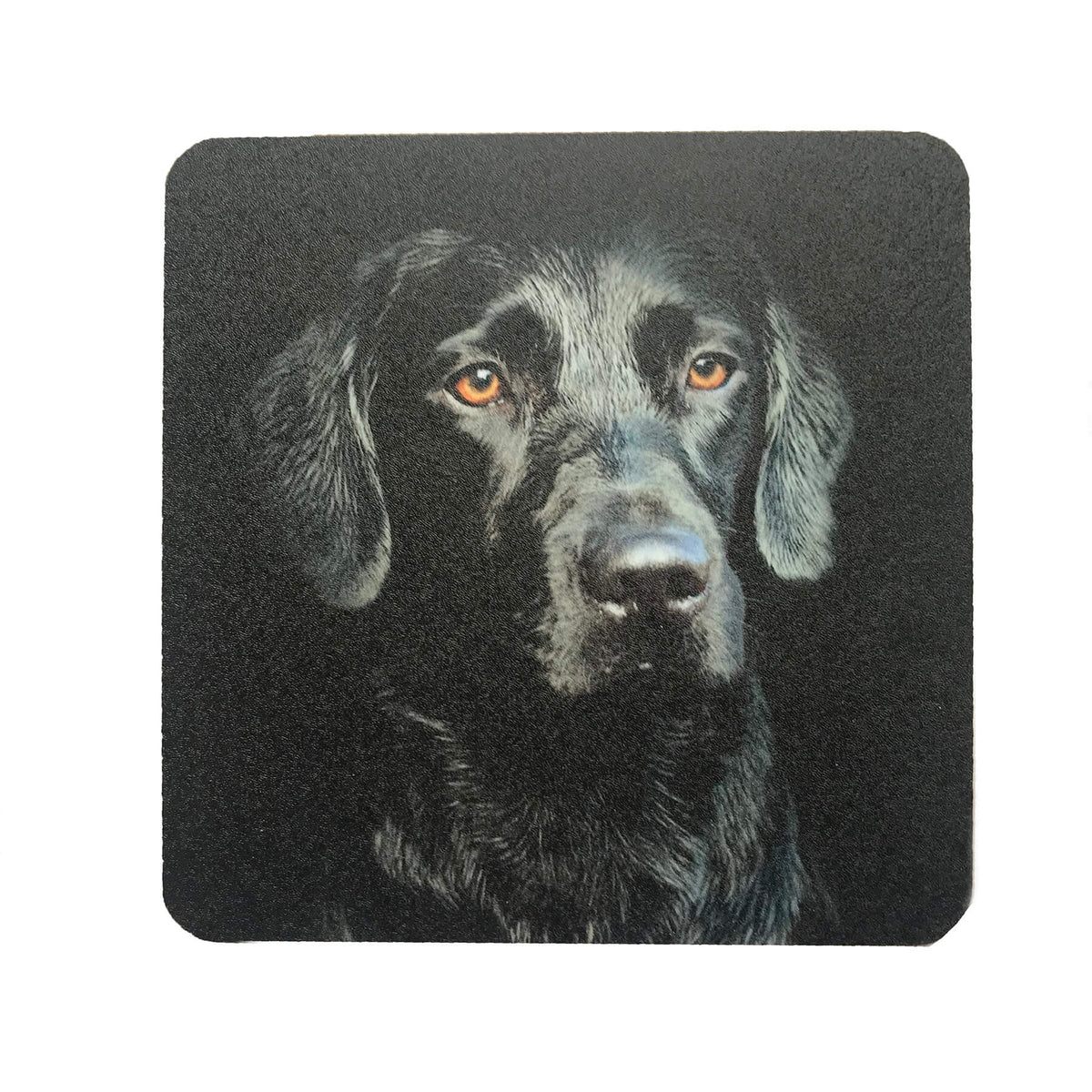 Black Labrador Dog Drinks Coaster