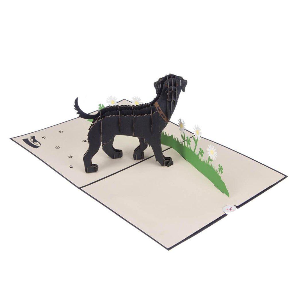 Black Labrador Handmade 3D Pop Up Birthday Card