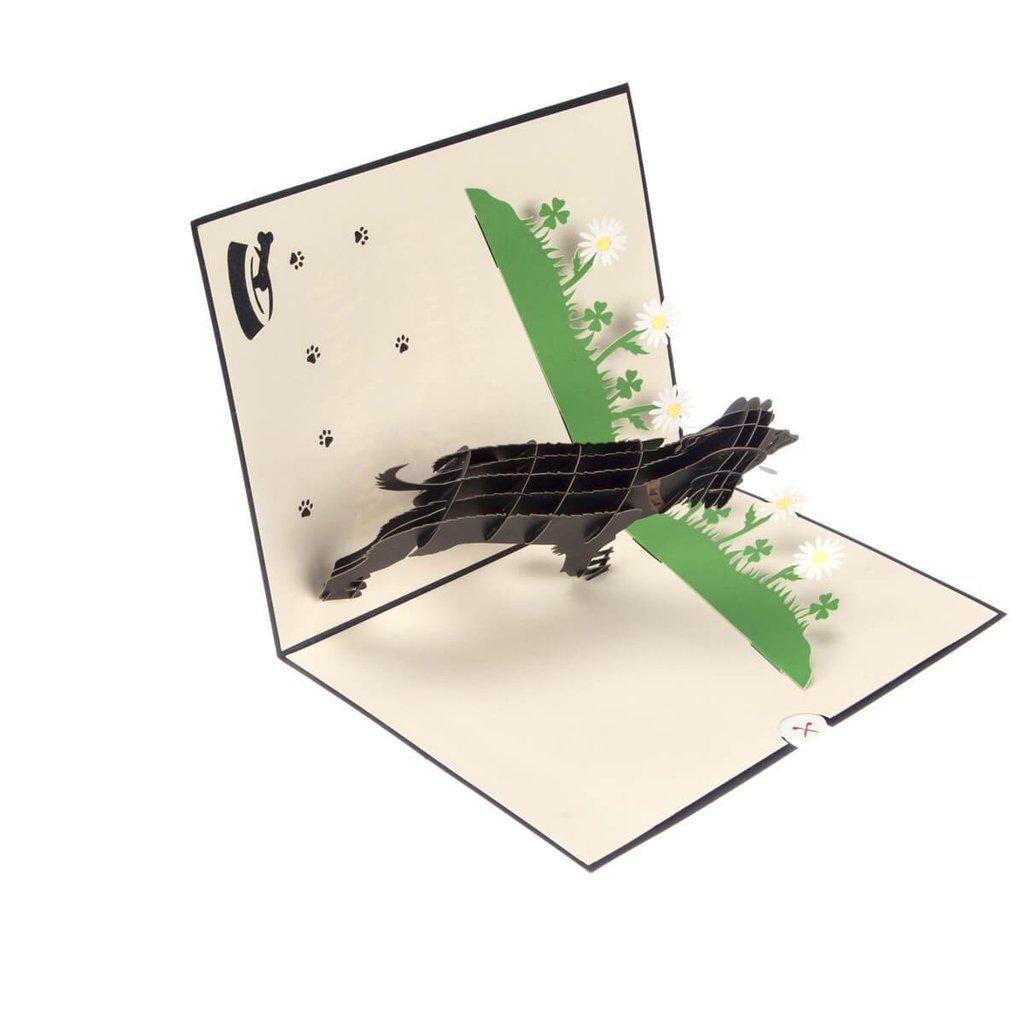 Black Labrador Handmade 3D Pop Up Birthday Card