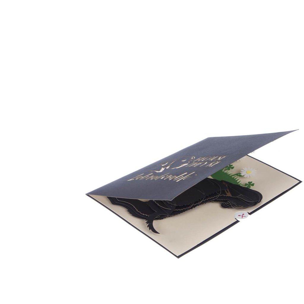 Black Labrador Handmade 3D Pop Up Birthday Card