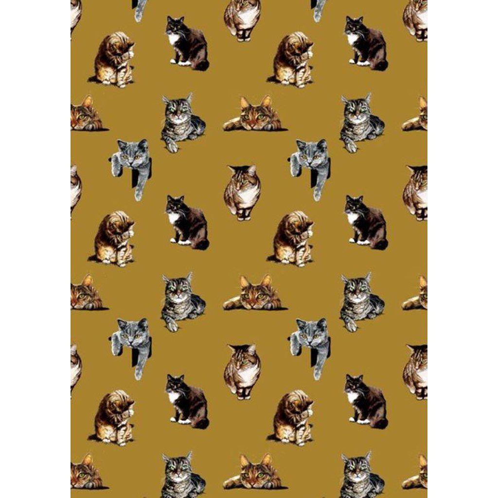 Cat &amp; Kitten Gift Wrap Wrapping Paper Single Sheet-Gifts Made Easy