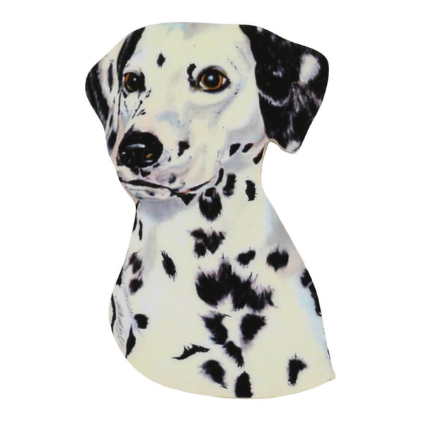 Dalmatian Dog Bathroom Print - Funny Dog in Bathrobe Decor – Imagine Glow