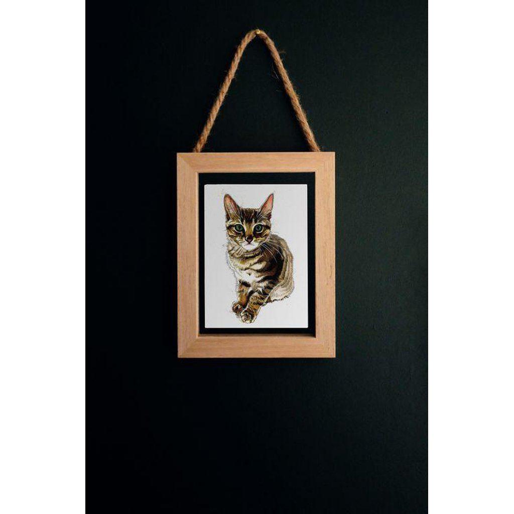 Muskle The Kitten Cat Lovers Greetings Card For All Occasions-Gifts Made Easy