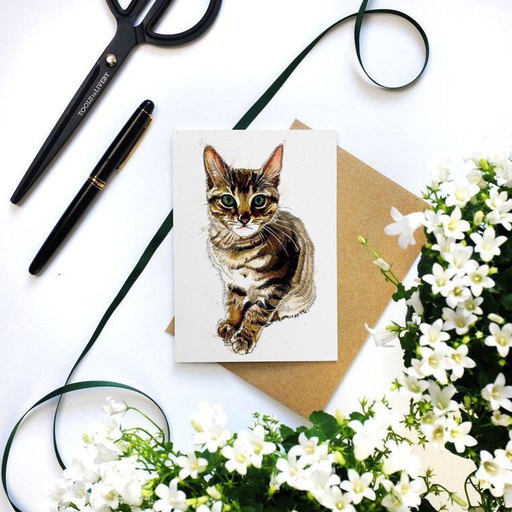 Muskle The Kitten Cat Lovers Greetings Card For All Occasions-Gifts Made Easy