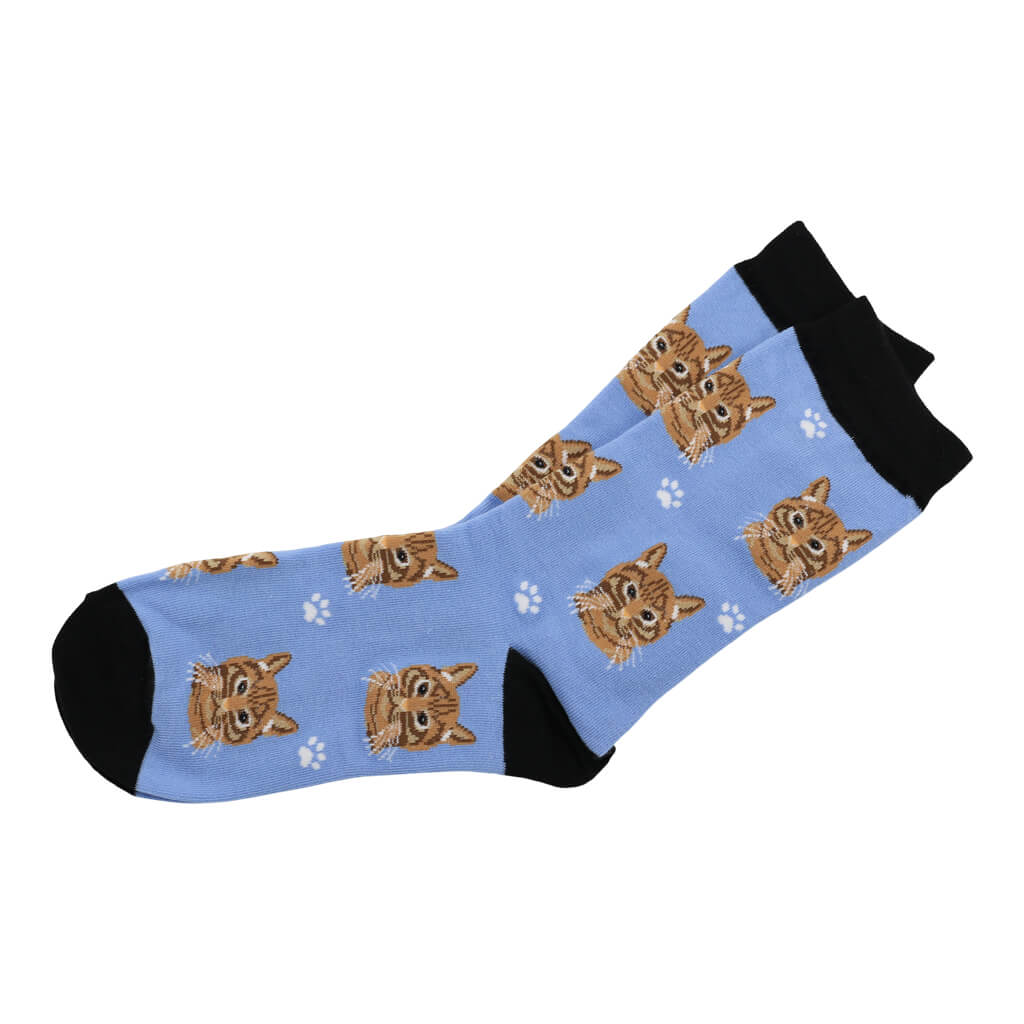 Pair of Orange Tabby Cat Lover Socks Ideal Gift