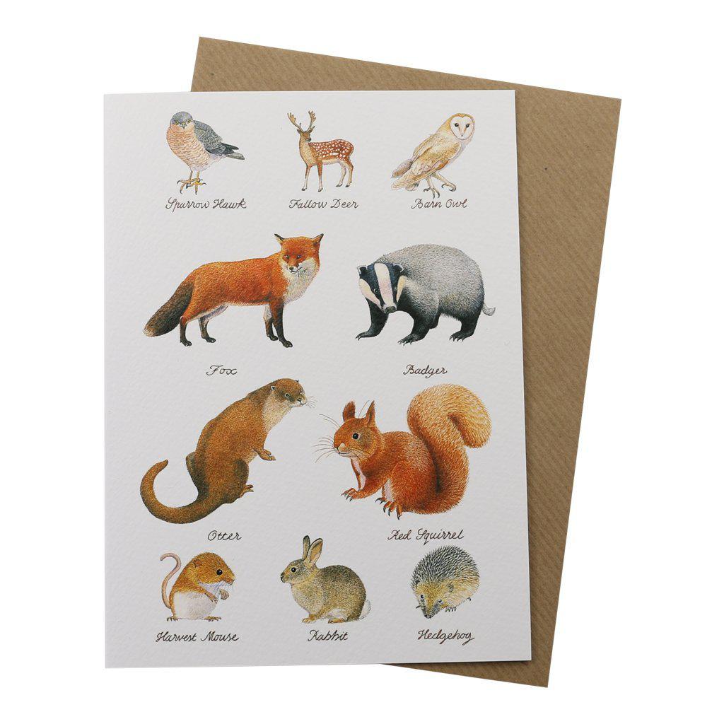 British Wildlife Animals Birthday Greetings Card-Clanna Cards-Gifts Made Easy