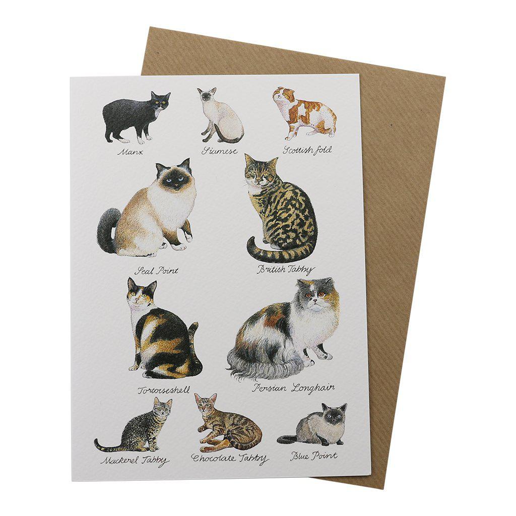 Cat Lovers Cat Breeds Birthday Greetings Card-Clanna Cards-Gifts Made Easy