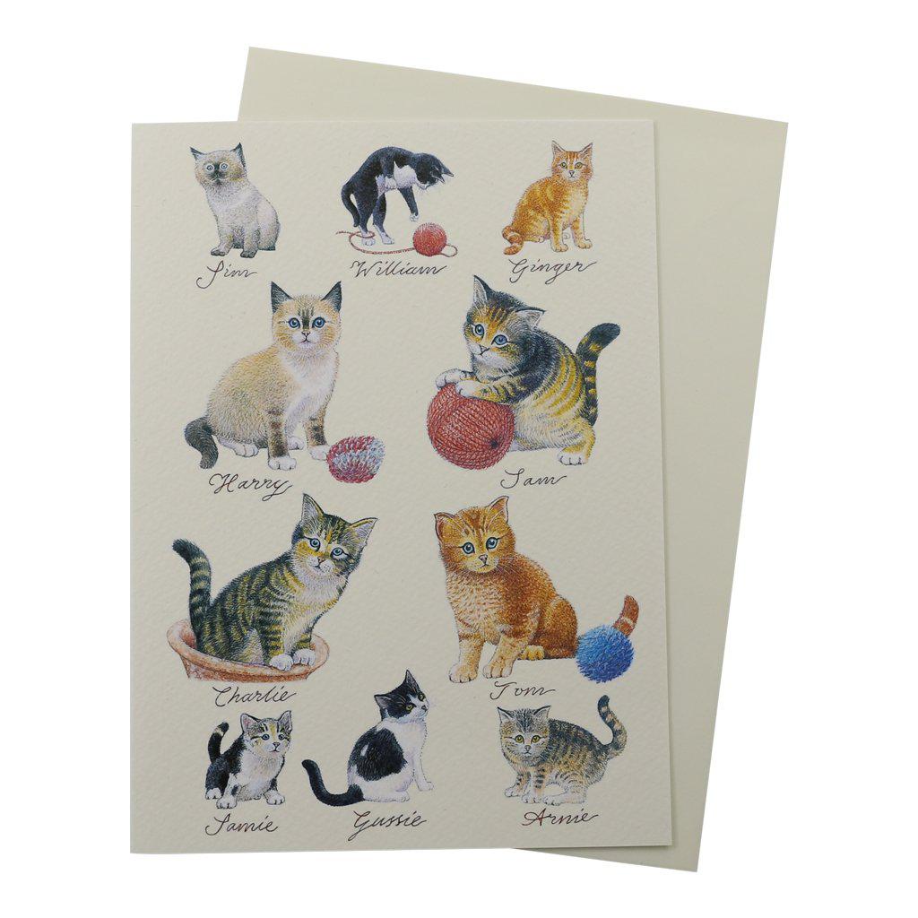 Cat Lovers Kittens Birthday Greetings Card-Clanna Cards-Gifts Made Easy