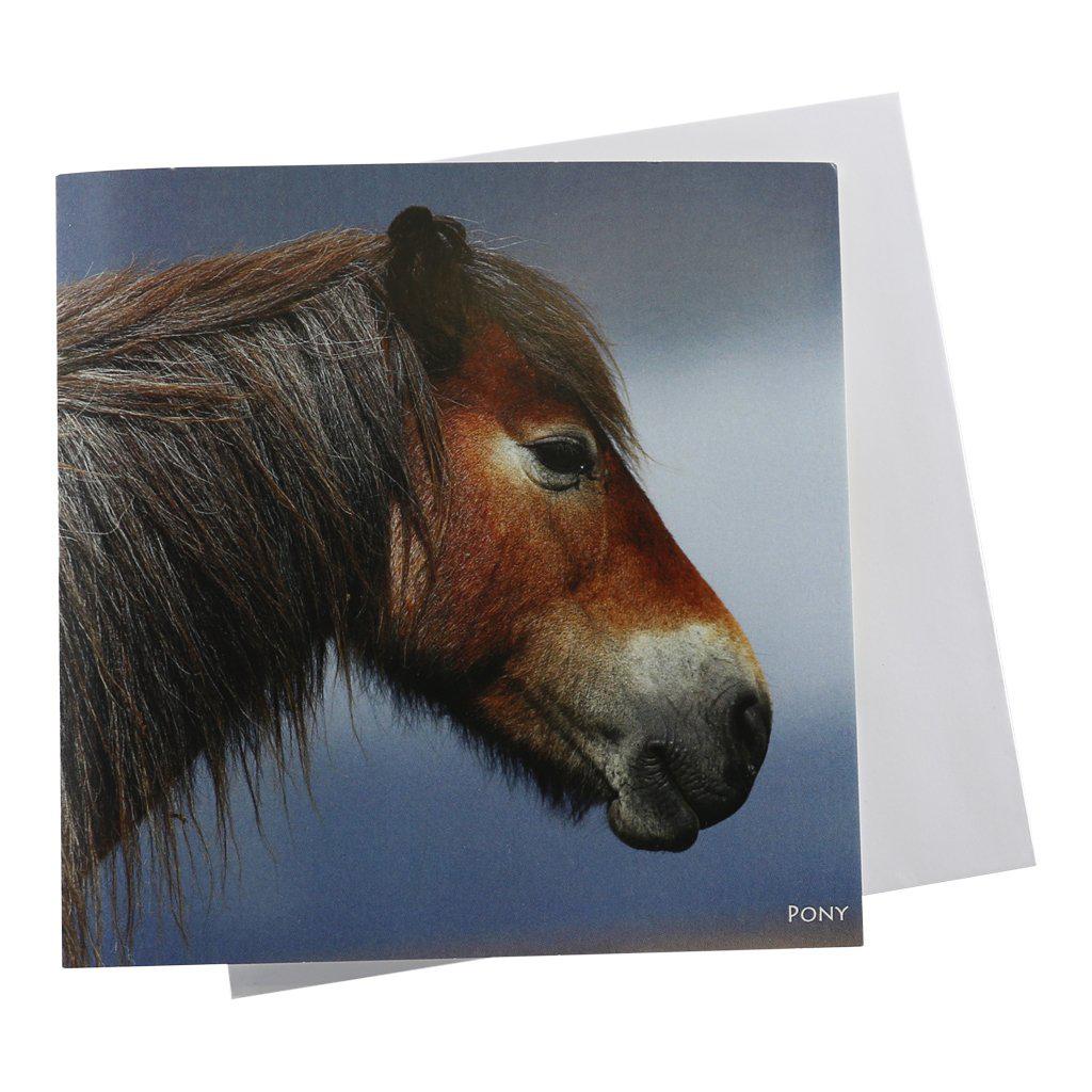 Dartmoor Pony Horse Sound Card-Gifts Made Easy