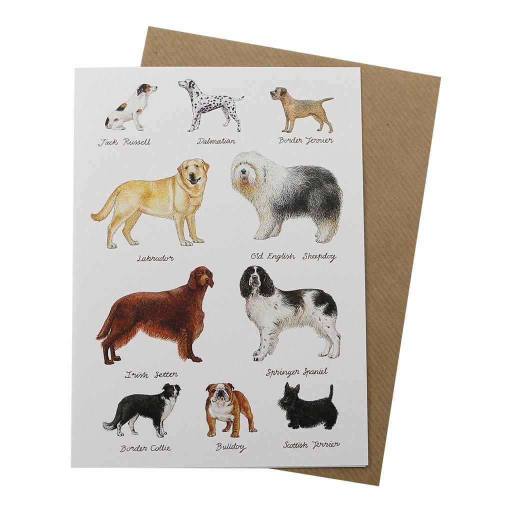 Dog Lovers Dog Breeds Birthday Greetings Card-Clanna Cards-Gifts Made Easy