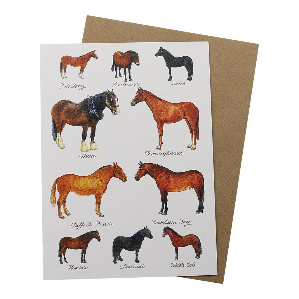 Horse Lover Horses Birthday Greetings Card-Clanna Cards-Gifts Made Easy