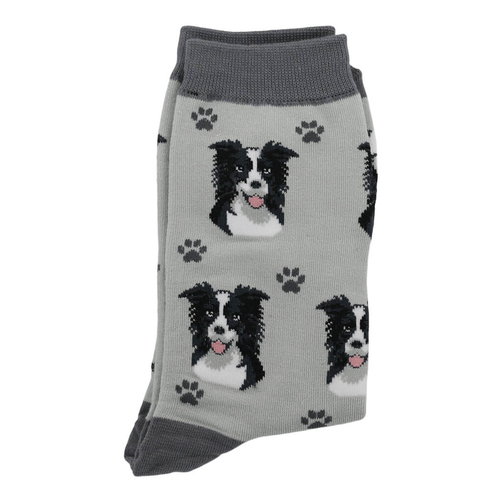 Border Collie SheepDog Lover Socks
