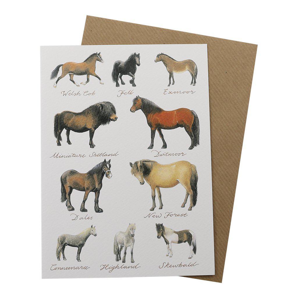 Pony Lover Ponnies Birthday Greetings Card-Clanna Cards-Gifts Made Easy