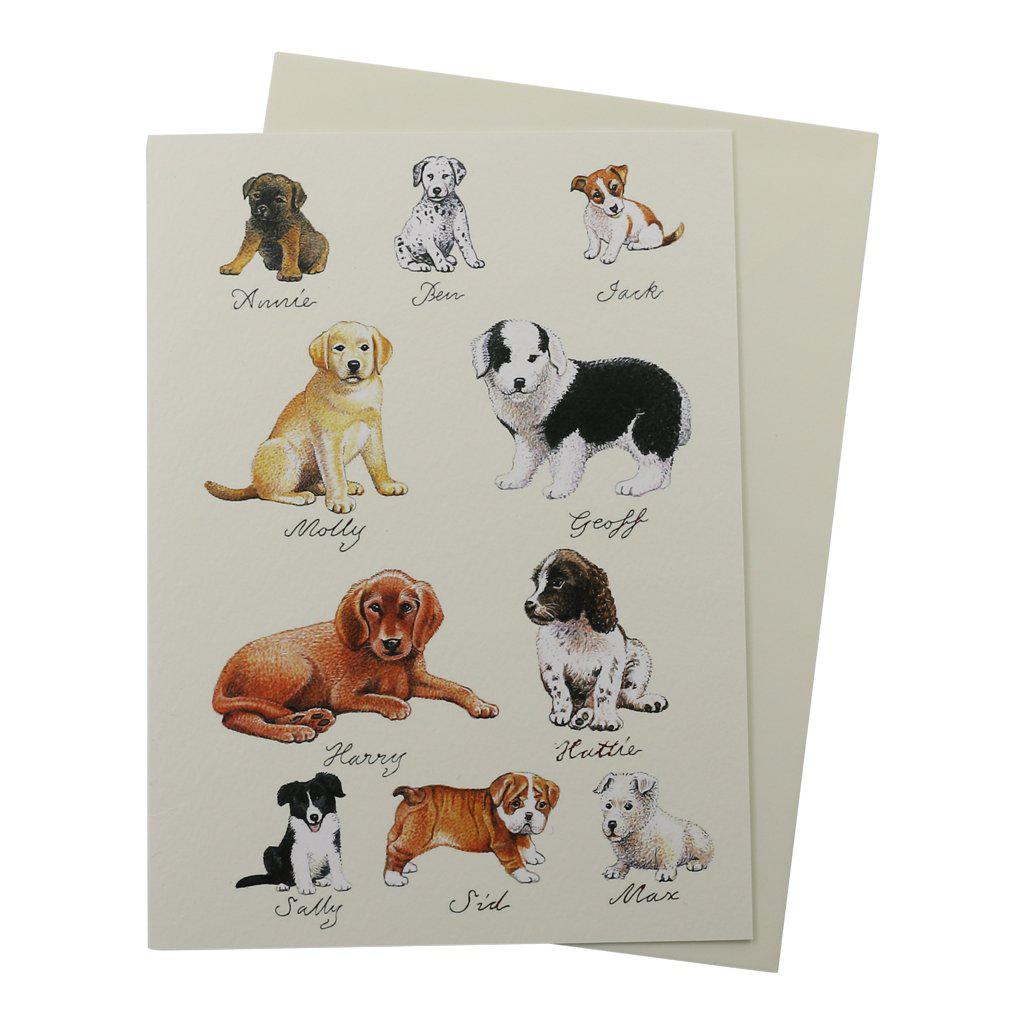 Puppy Dog Lover Puppies Birthday Greetings Card-Clanna Cards-Gifts Made Easy