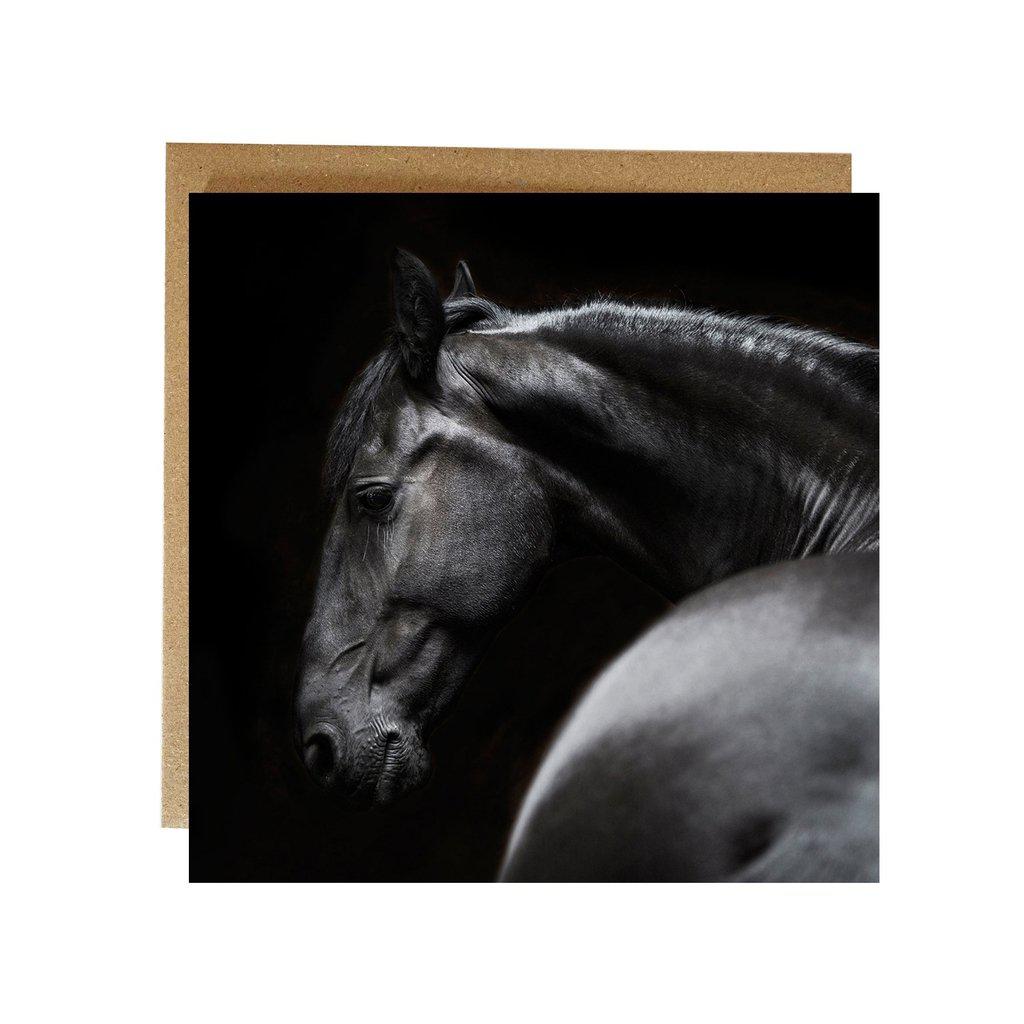 Gentle Black Horse Greetings Birthday Card