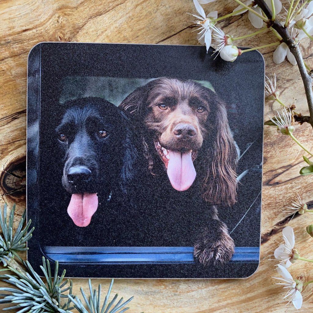 Spaniel &amp; Labrador Dogs Drinks Coaster