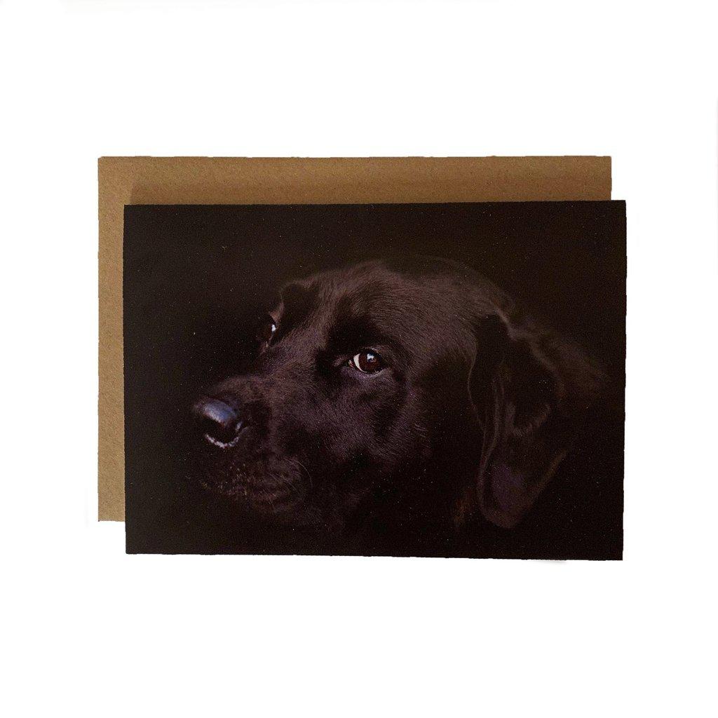 Black Labrador Face Greetings Birthday Card