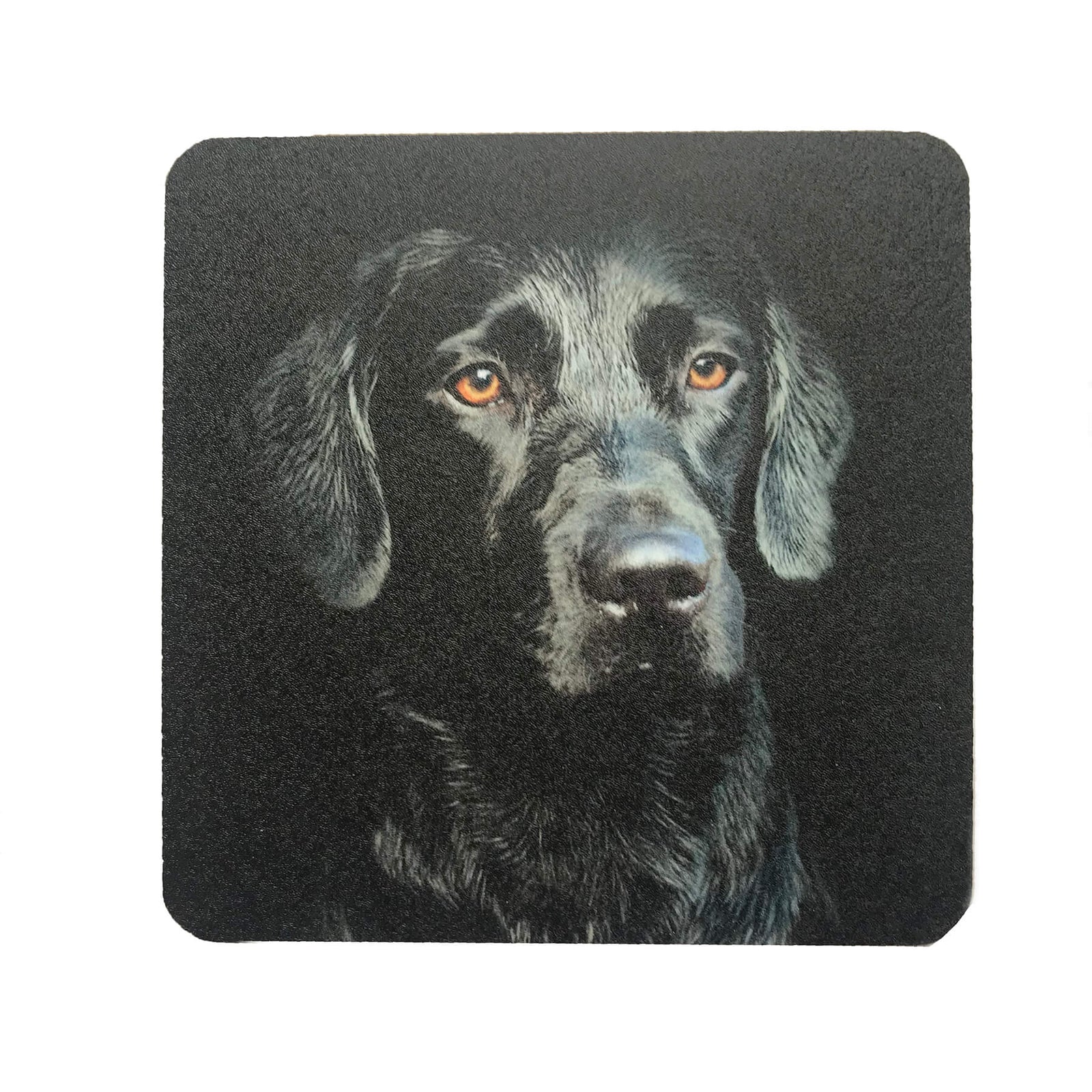 Black Labrador Dog Drinks Coaster