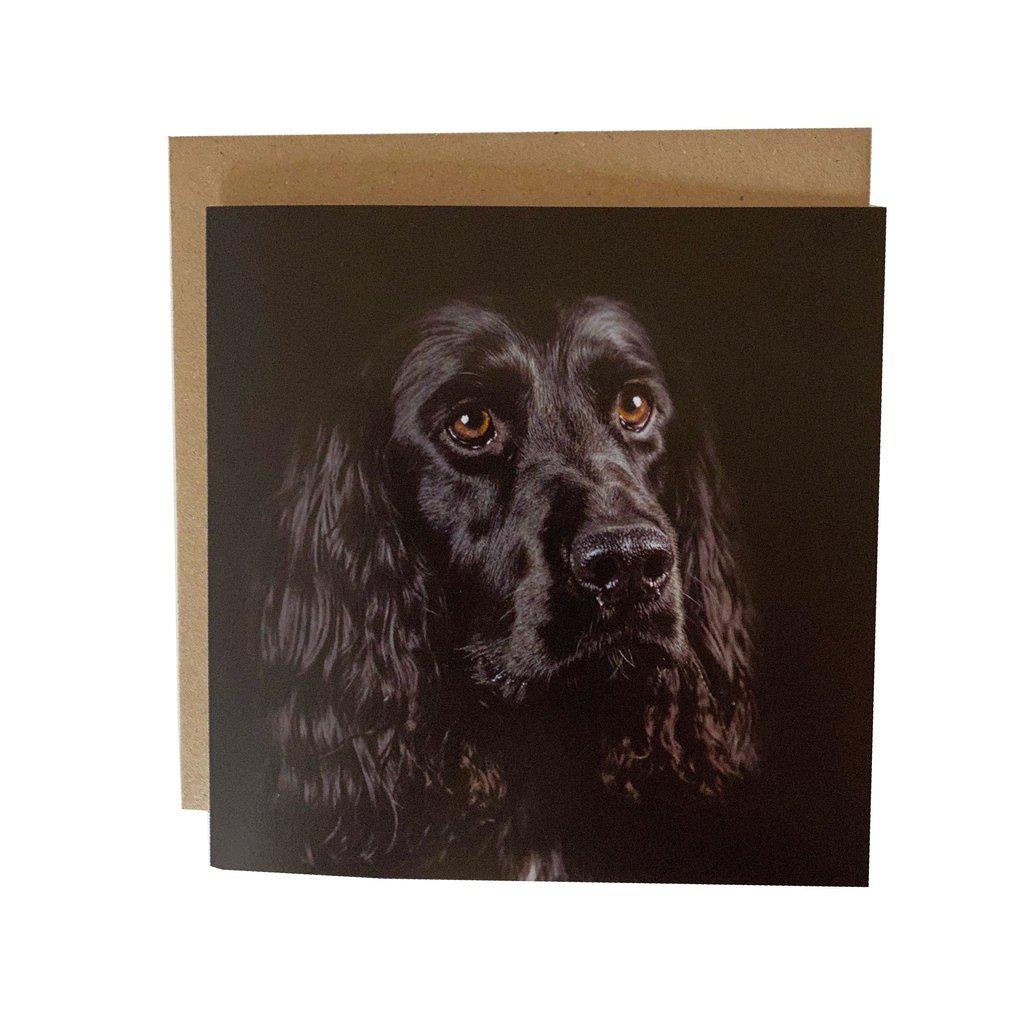 Black Spaniel Face Greetings Birthday card