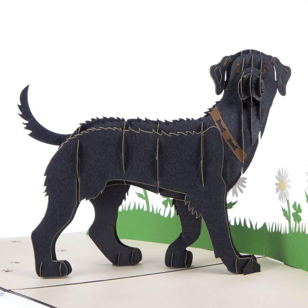 Black Labrador Handmade 3D Pop Up Birthday Card