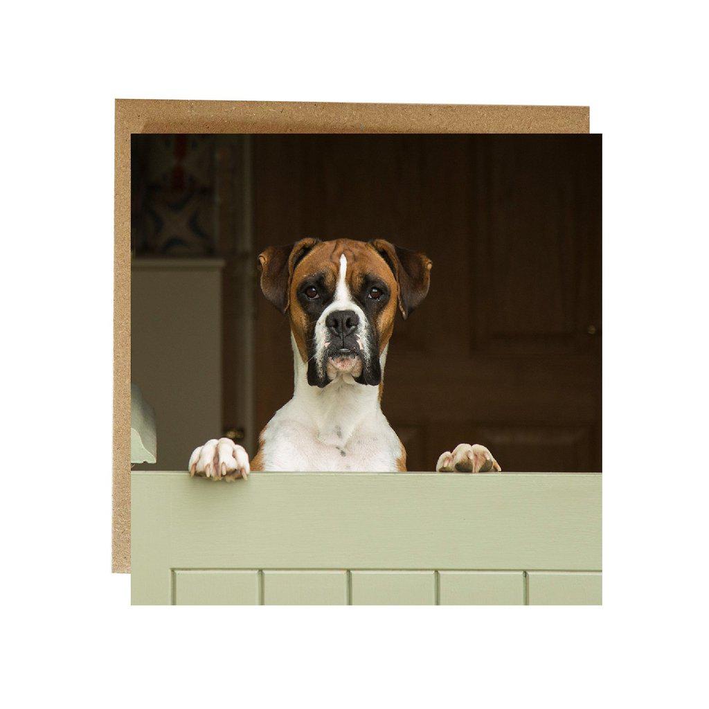 Boxer Dog Greetings Birthday Card