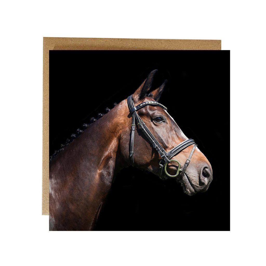 Brown Horse Greetings Birthday Card