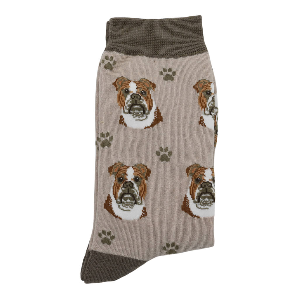 Bulldog Dog Lover Socks