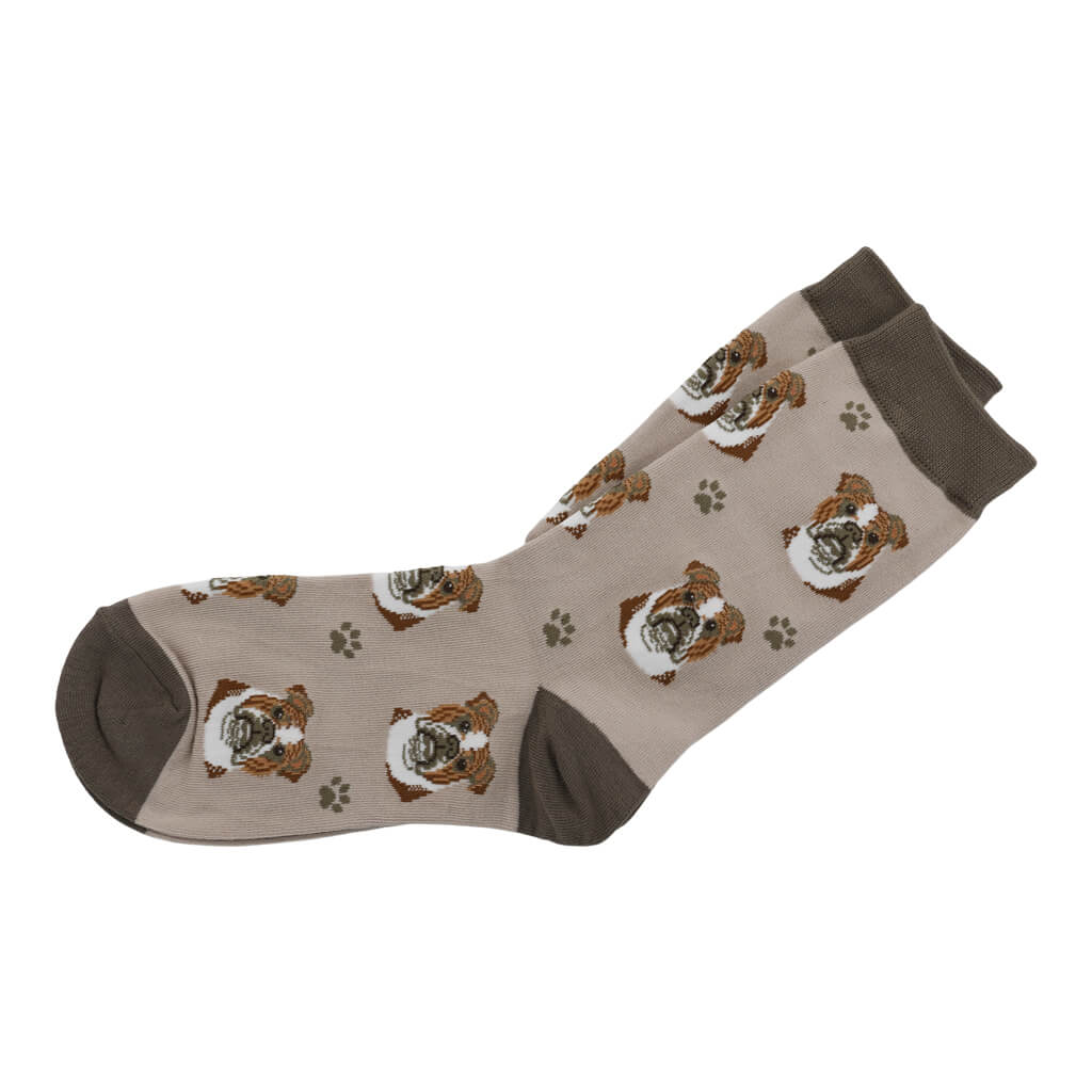 Bulldog Dog Lover Socks Pair Ideal Gift