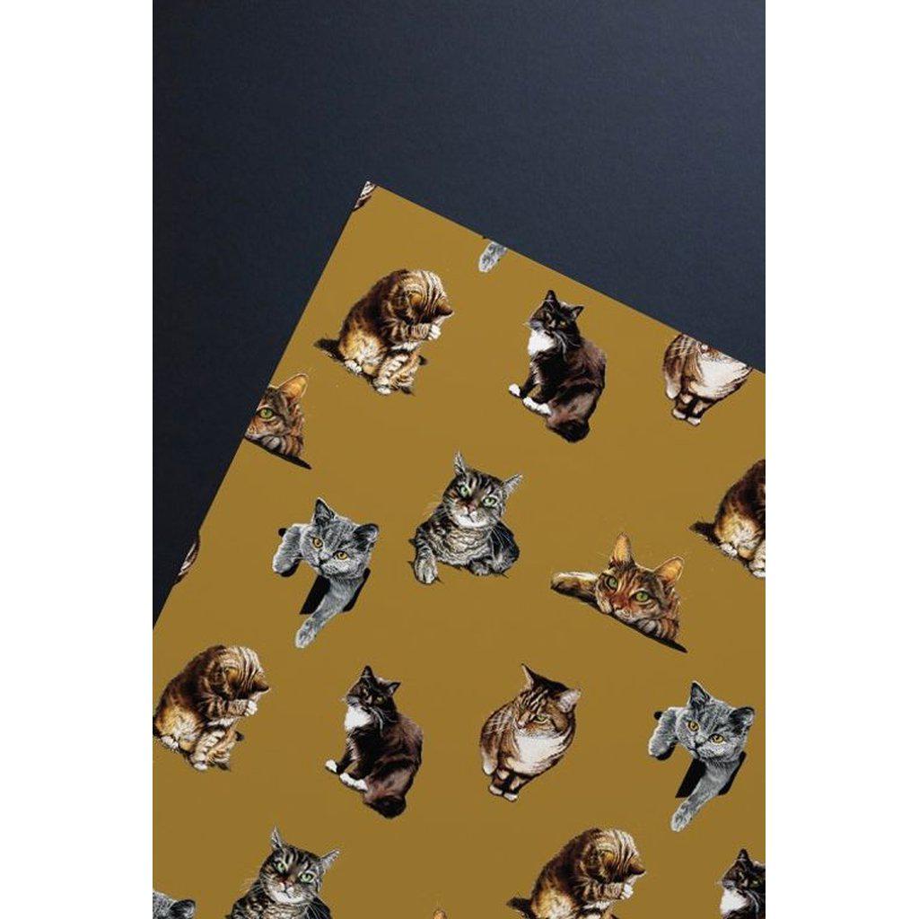 Cat & Kitten Gift Wrap Wrapping Paper Single Sheet-Gifts Made Easy