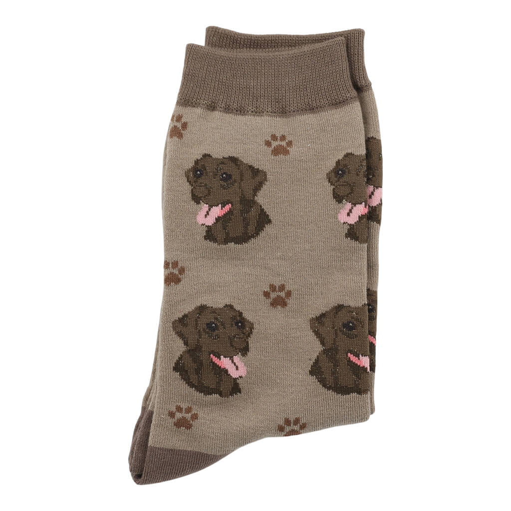 Chocolate Brown Labrador Dog Lover Socks