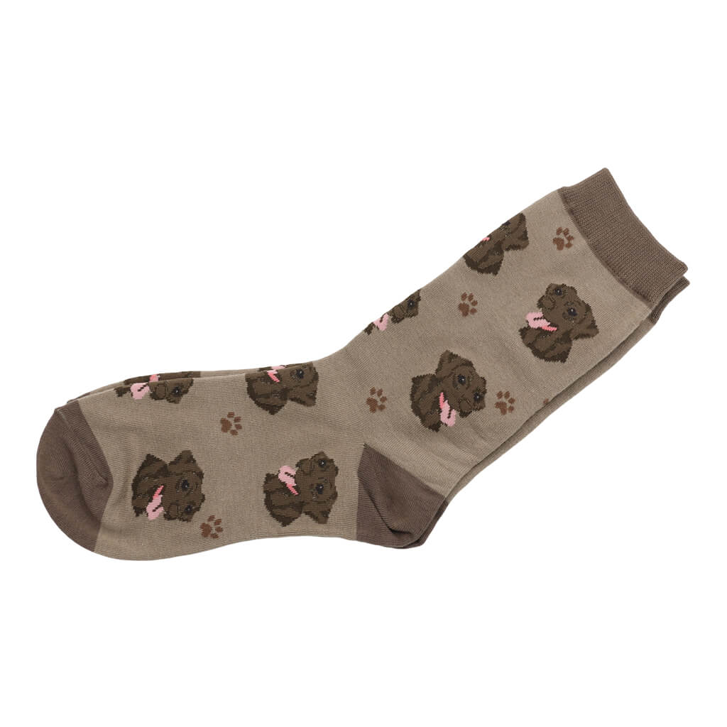 Pair of Chocolate Brown Labrador Dog Lover Socks Ideal Gift