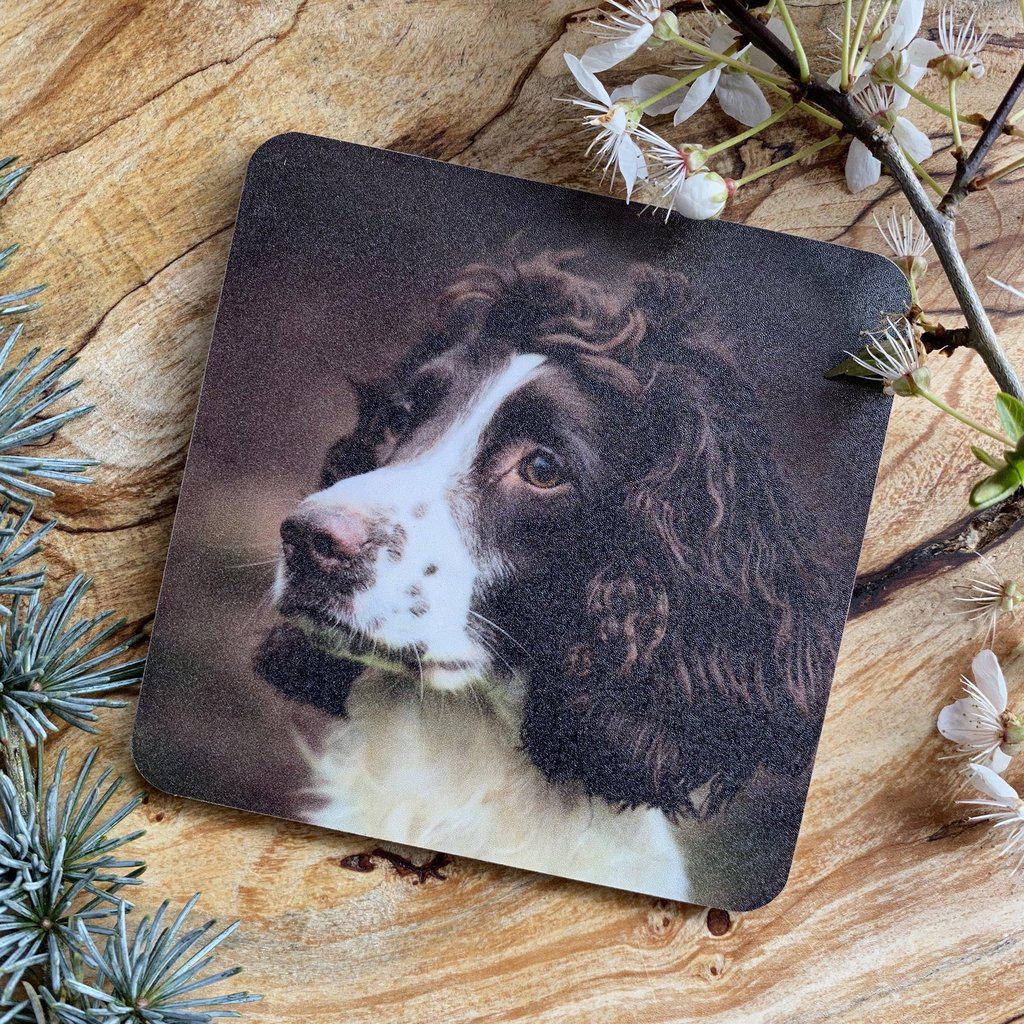 Spaniel Dog Drinks Coaster