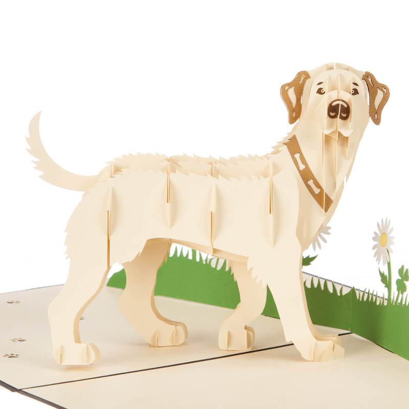 Cream White Yellow Labrador Handmade 3D Pop Up Birthday Card