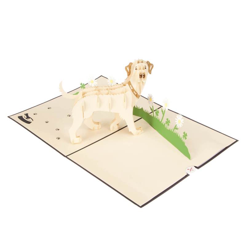 Cream Yellow Labrador Handmade 3D Pop Up Birthday Card