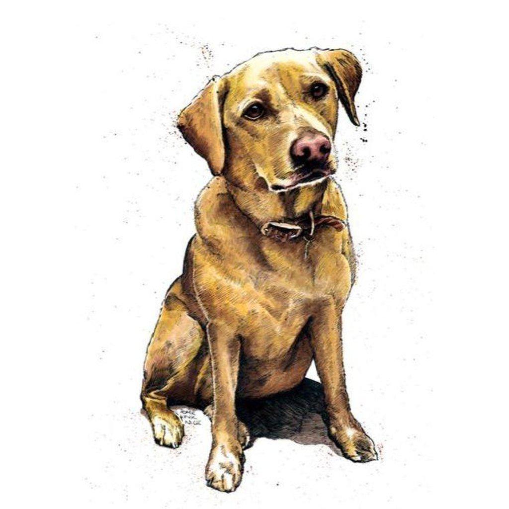 Daisy The Labrador Dog Greetings Card For All Occasions-Gifts Made Easy