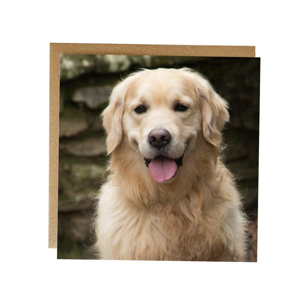Golden Retriever Greetings Birthday Card