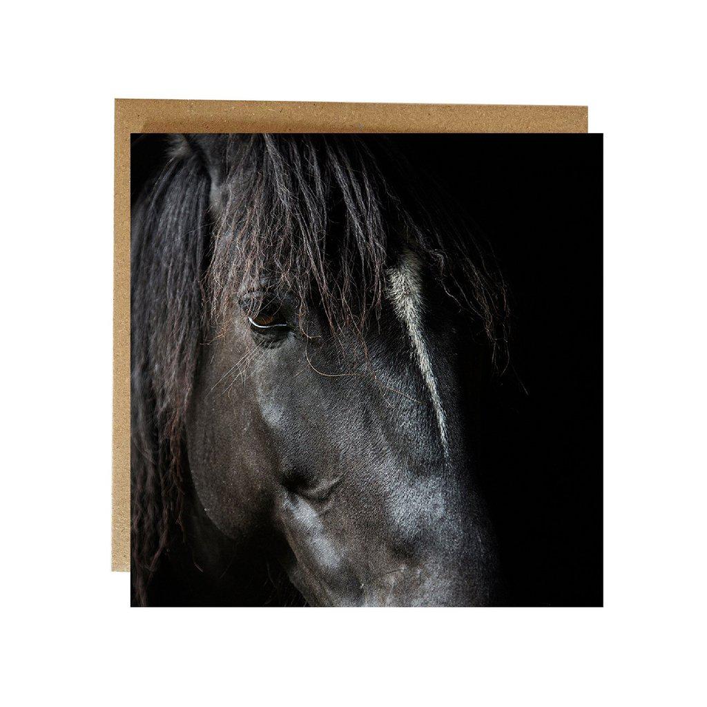 Black Horse Greetings Birthday Card