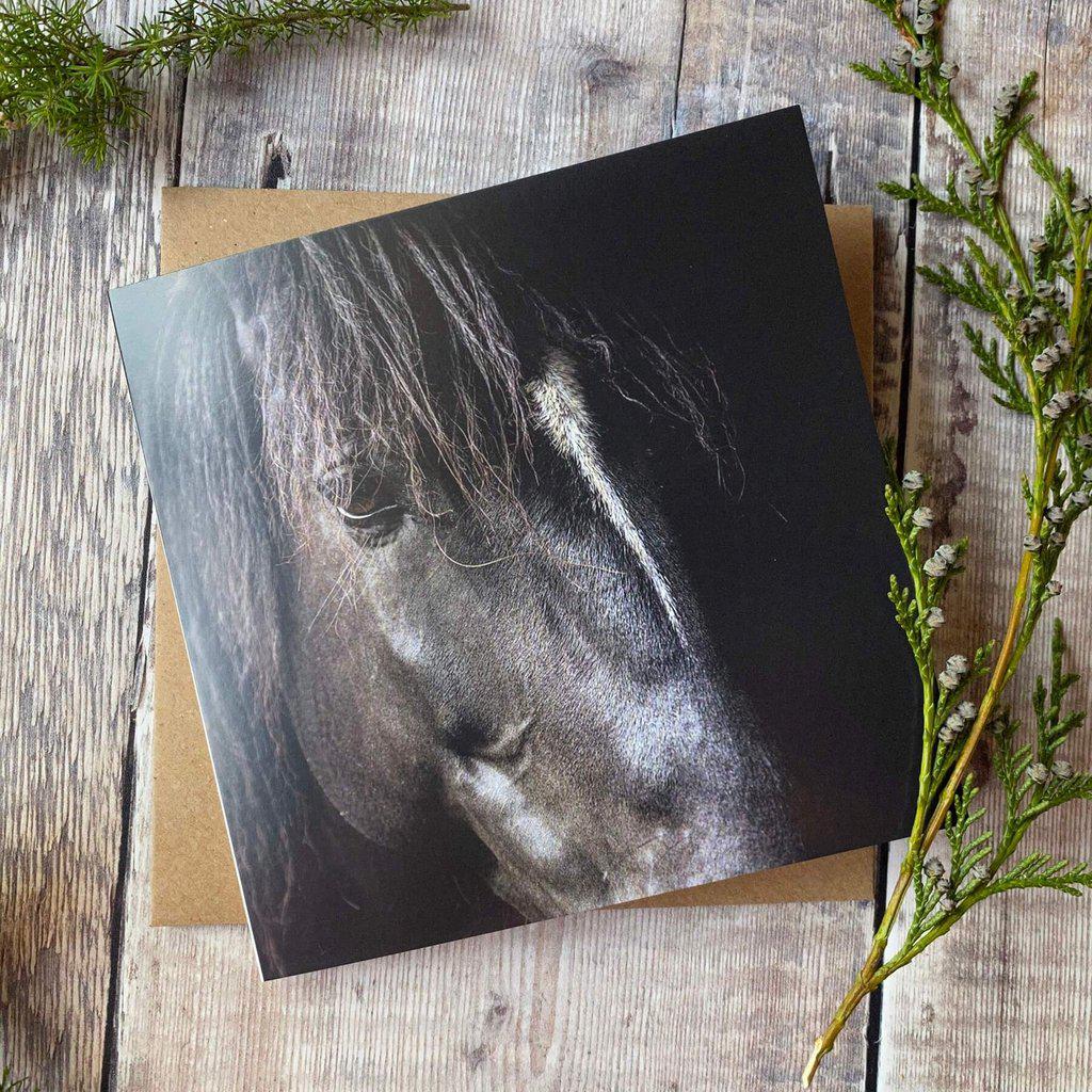 Black Horse Greetings Birthday Card
