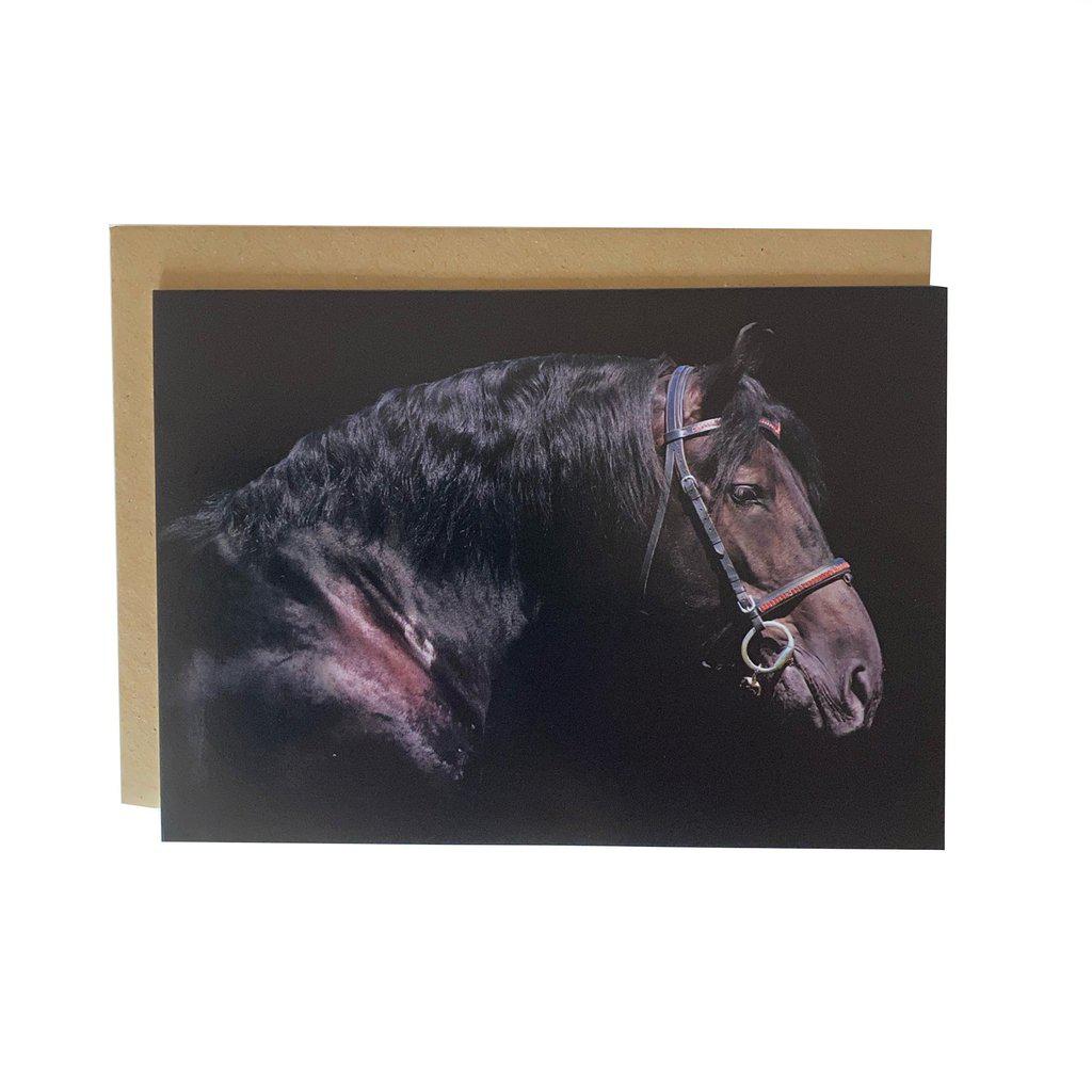 Black Horse Head Photo Greetings Birthday Card