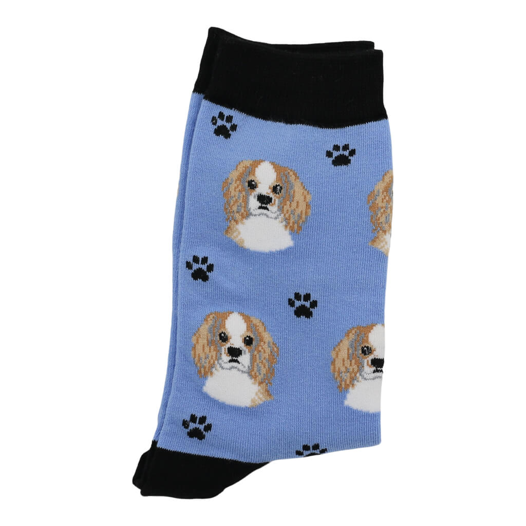 Cavalier King Charles Spaniel Dog Lover Socks