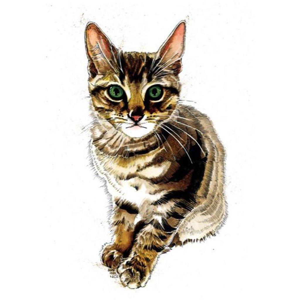 Muskle The Kitten Cat Lovers Greetings Card For All Occasions-Gifts Made Easy