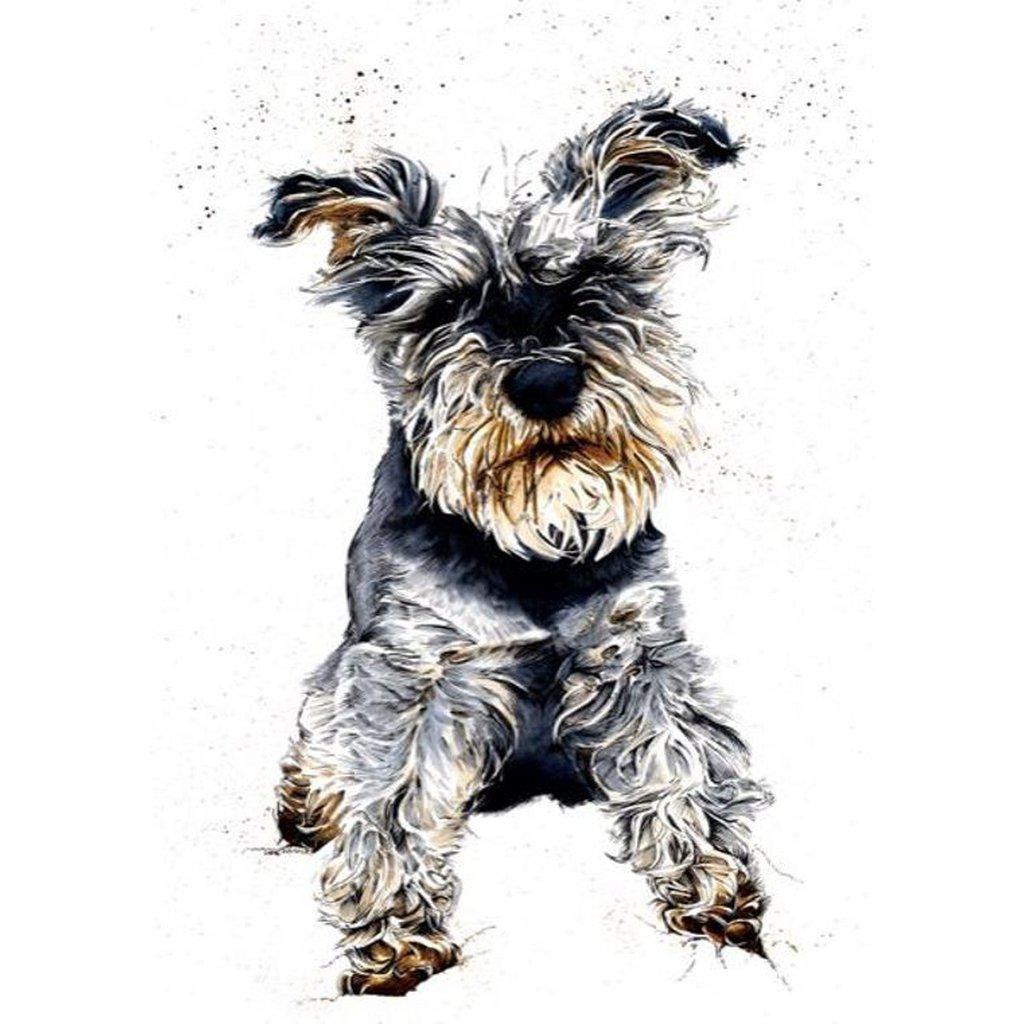 Ollie The Schnauzer Dog Greetings Card For All Occasions-Gifts Made Easy
