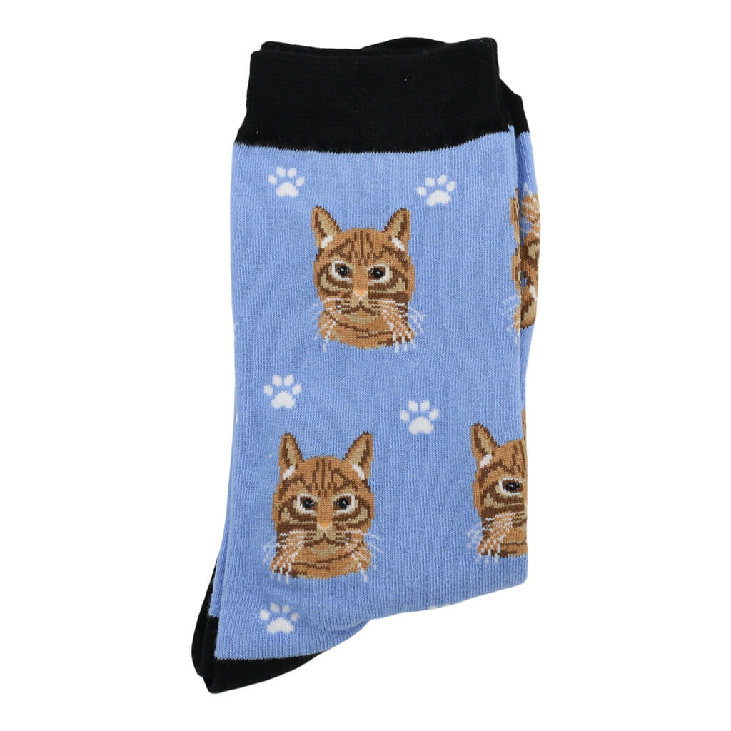 Orange Tabby Cat Lover Socks