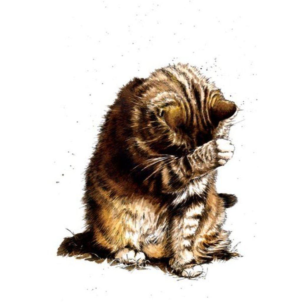 Small Fry The Cat Greetings Card For All Occasions-Gifts Made Easy