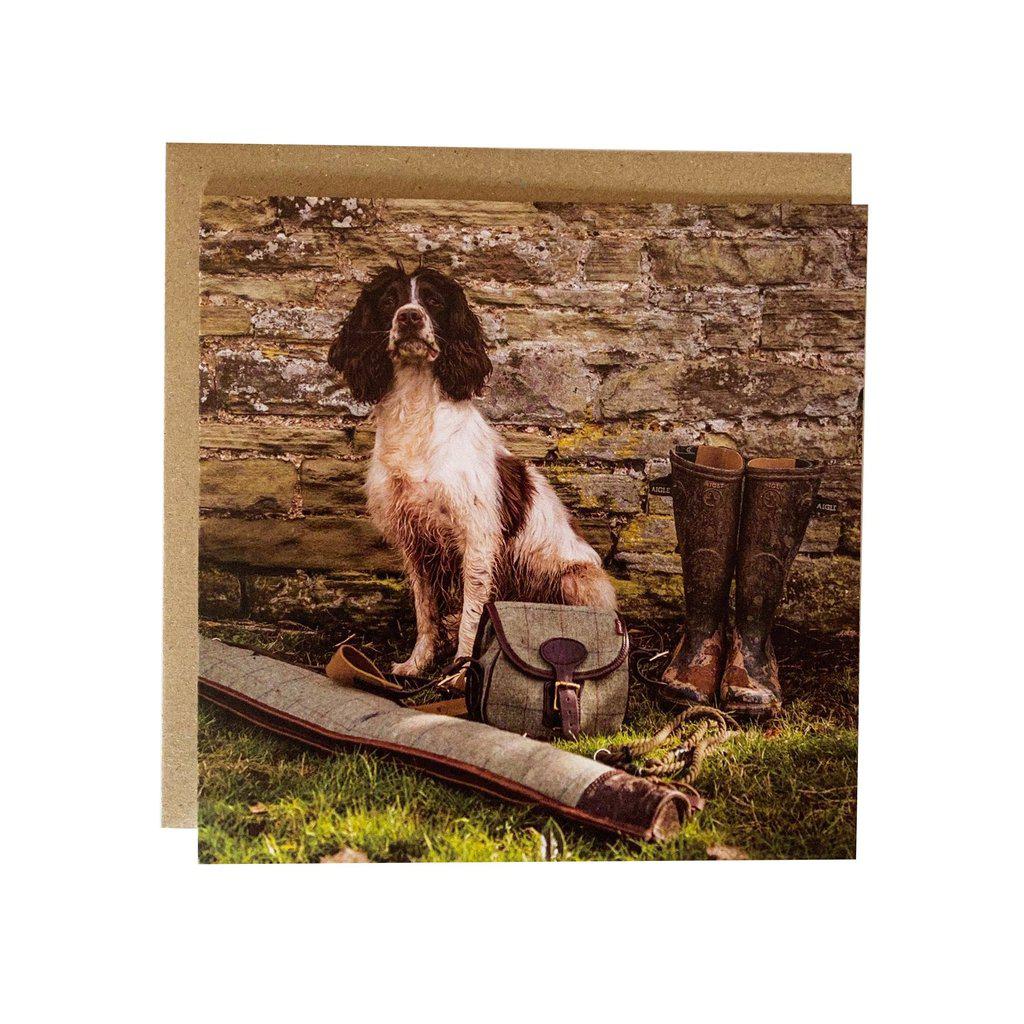 Springer Spaniel Working Dog Greetings Birthday Card
