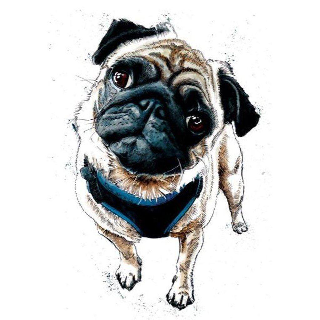 Teddy The Pug Dog Greetings Card For All Occasions-Gifts Made Easy