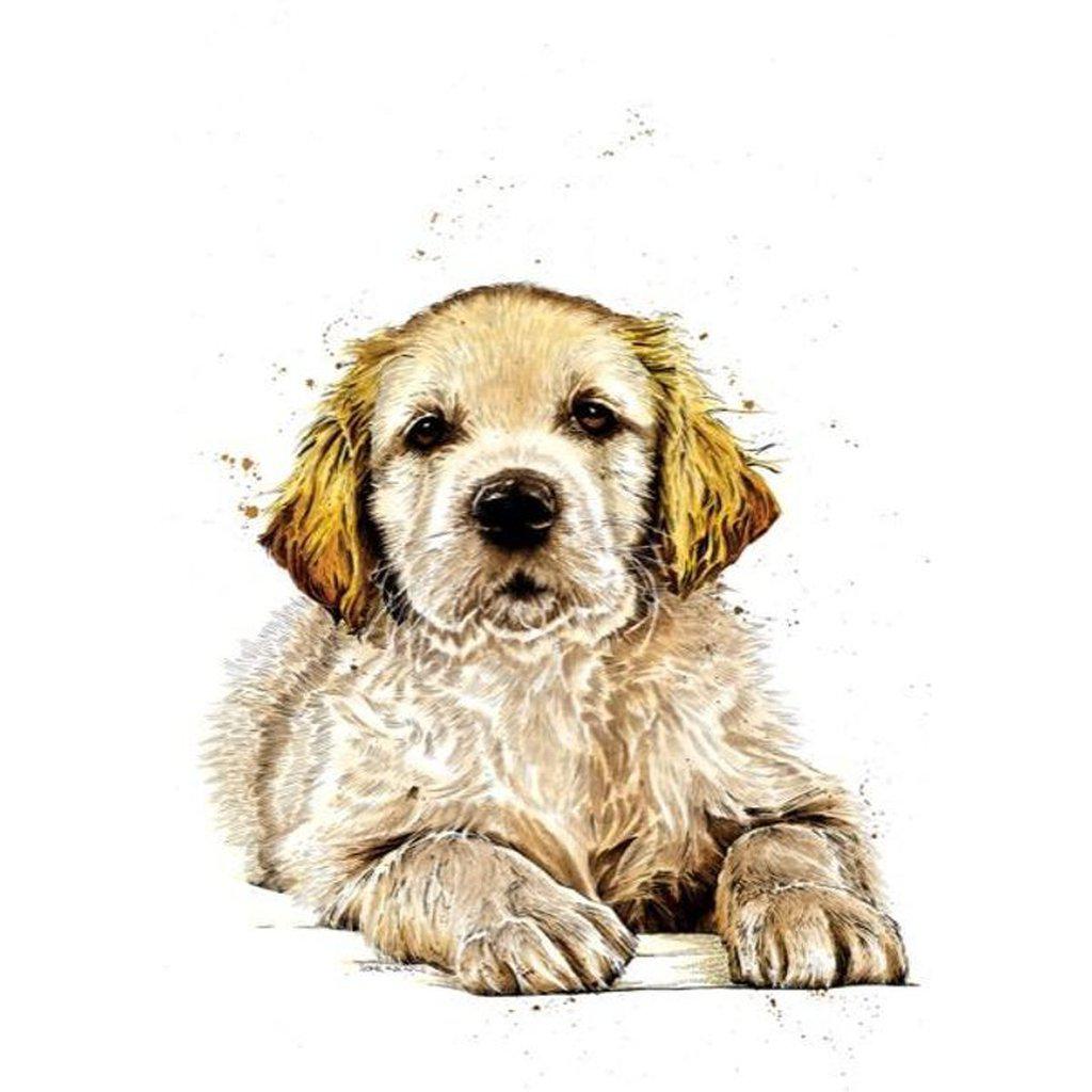The Guide Dog Puppy Greetings Card For All Occasions-Gifts Made Easy